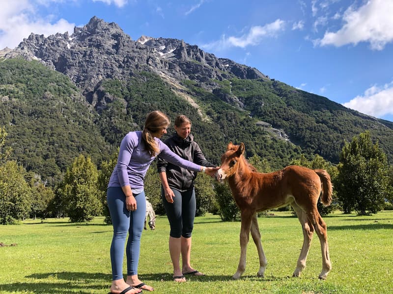 Ladies petting horse in the mountains with Pucón Kayak Retreat, Chile