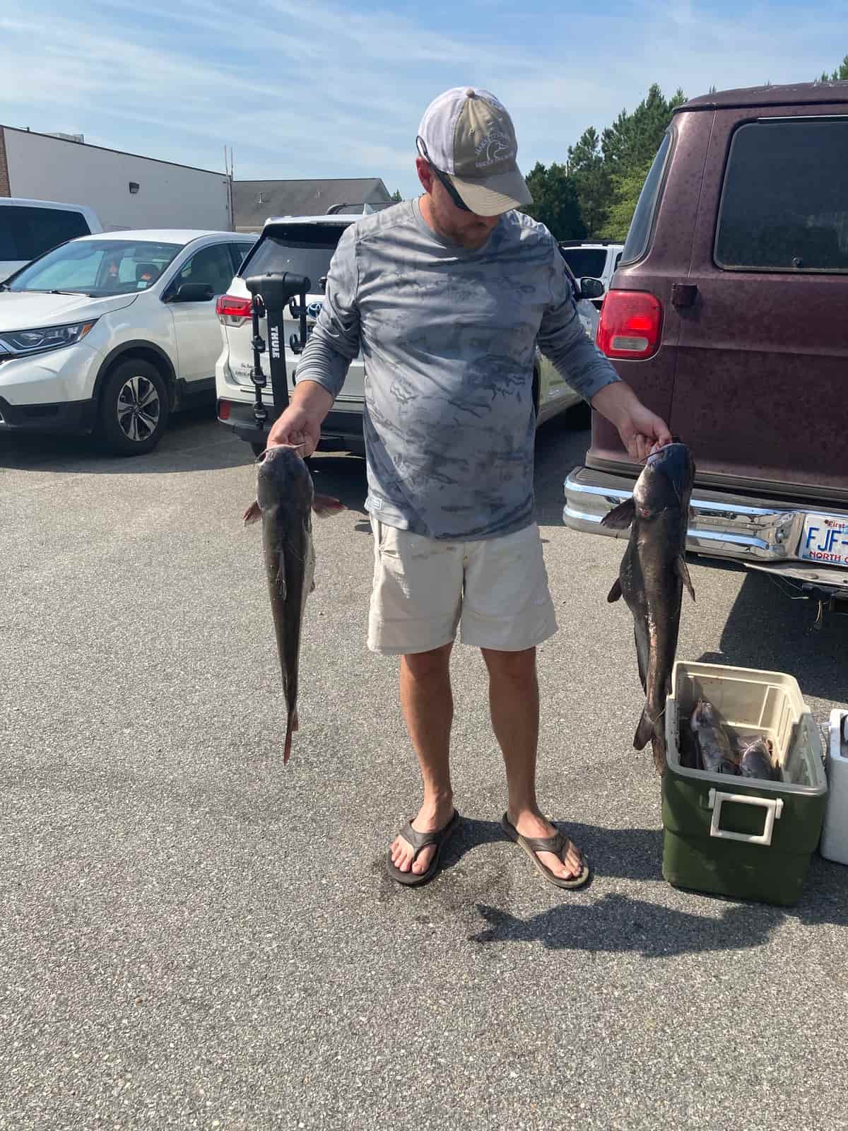 Catfish cought on Cape Fear River near Lillington, NC