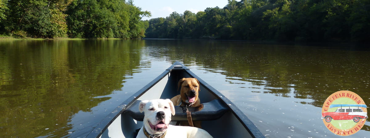 Canoeing at Jordan Lake in Raleigh, NC